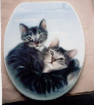 Katzen auf einem WC-Sitz