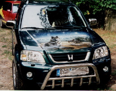 wolfcrv6