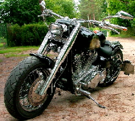Wild Dragon